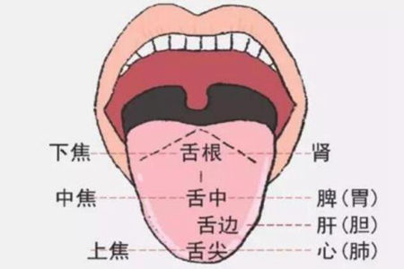 宝宝身体出了什么问题,自己看舌象就能看出来