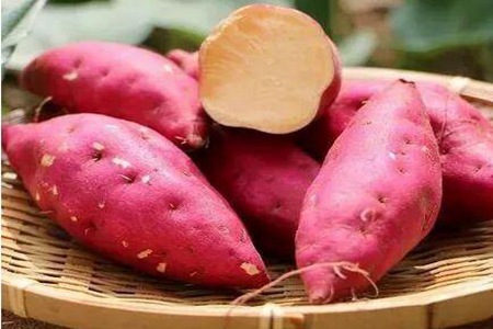冬季进补吃什么好?这五个女人冬季进补食物