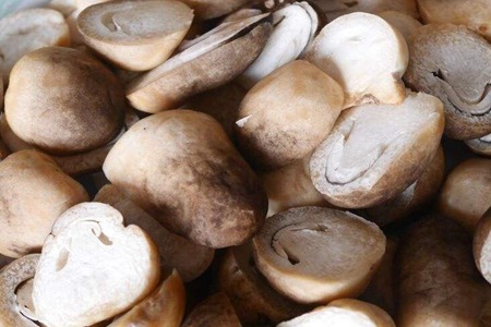 蘑菇的功效与作用，这五个蘑菇的种类食物营养功效