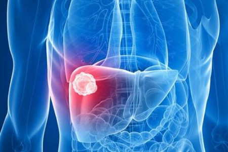 怎么养肝护肝？牢记这4个原则整年身体都棒棒哒