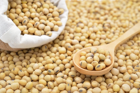黄豆的功效与作用,爱美女性多吃黄豆有这三种功效
