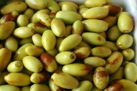 鸡心枣的功效与作用,这四个女人鸡心枣的营养价值