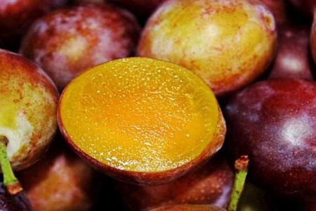 西梅的功效与作用,这五个女人吃西梅的营养价值功效