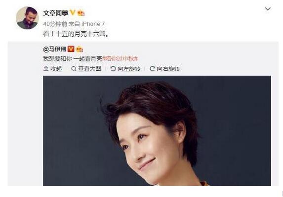 马伊琍原谅文章