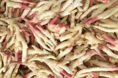 姜芽的功效与作用,这五个女人吃姜芽的好处