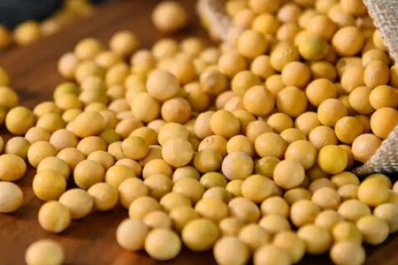 吃什么补雌激素最快?这五个食物多吃比护肤品更奏效