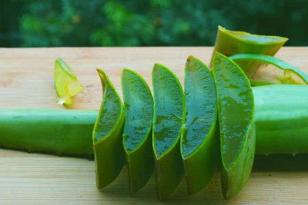 芦荟的功效与作用,这五个功效对女人延缓衰老