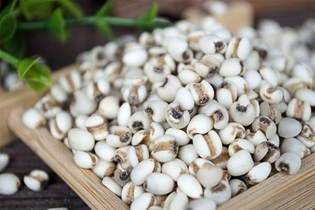 如何正确用薏米祛湿？女生需掌握这两种方法科学除湿气