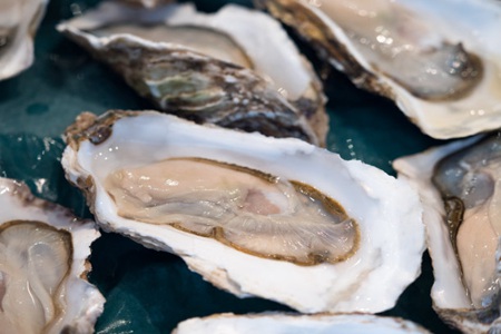 牡蛎的功效与作用,这五个生蚝的功效和好处
