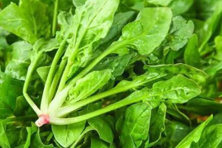 什么东西补血？这五个食物补血别再花冤枉钱