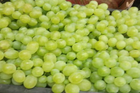 青提子的功效与作用,这五个女人吃青提子的好处