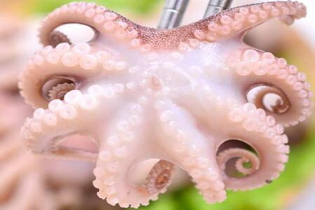 八爪鱼的功效与作用,这四个女人吃八爪鱼的营养价值