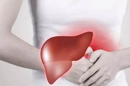 怎么养肝护肝？牢记这4个原则整年身体都棒棒哒