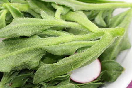 冰菜的功效和作用，这五个女人吃冰菜的营养价值