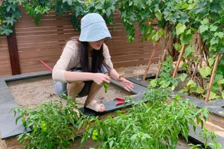 张馨予豪宅小院曝光，争议女王张馨予婚后幸福得让人嫉妒
