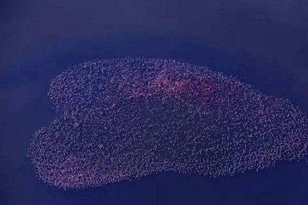 江一燕获奖引争议，女版翟天临上线？江一燕回应曝光真相