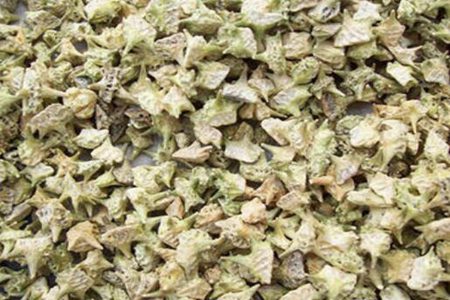 蒺藜的功效与作用，这五个女人吃蒺藜的营养价值