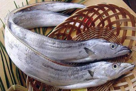 适合小宝宝吃的鱼有哪些?这五种鱼宝宝常吃明目又补钙