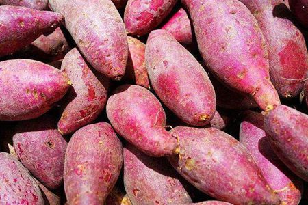 润肠通便的食物有哪些？这五种食物润肠通便最有效方法