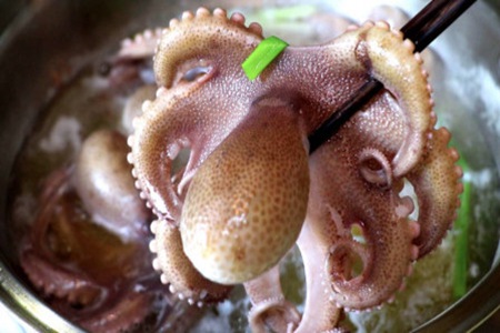 章鱼的功效与作用,这五个女人吃章鱼的好处