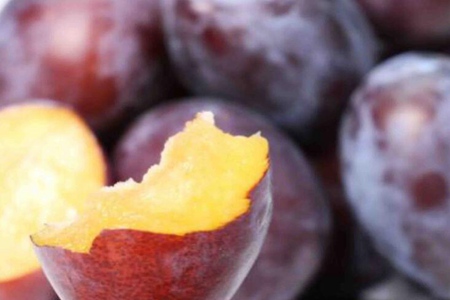 西梅的功效与作用,这五个女人吃西梅的营养价值功效