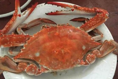 梭子蟹的功效与作用,这五个吃梭子蟹的营养价值