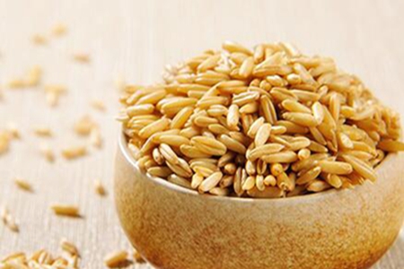 适合女人吃的几种食物,女性经常食用更加滋养健康!