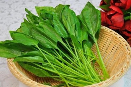 虾不能和什么一起吃?这五种虾相克食物及禁忌