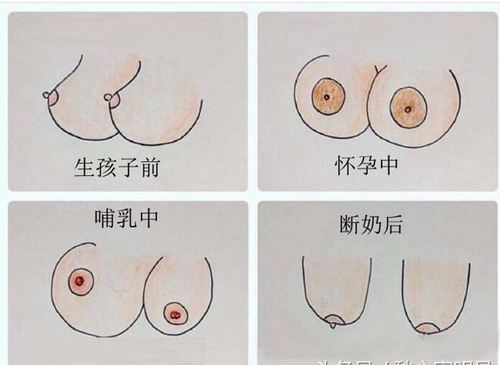 一张图片几亿人看不懂