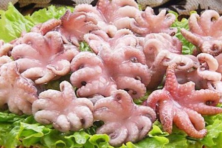 八爪鱼的功效与作用,这四个女人吃八爪鱼的营养价值