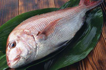 保护血管吃什么食物好?这五种食物是护血管神器