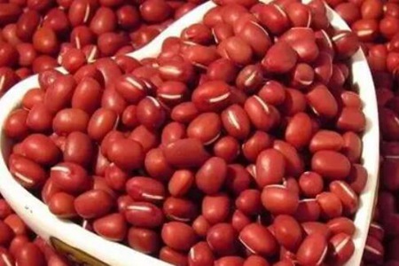 去湿气最好的食物有哪些？这五个食物多吃健脾胃除湿气