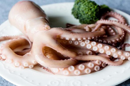 八爪鱼的功效与作用,这四个女人吃八爪鱼的营养价值