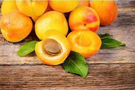孕妇可以吃杏子吗?这五个孕妇吃杏仁的危害