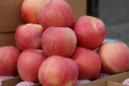 熬夜吃什么？这五个食物缓解熬夜后遗症