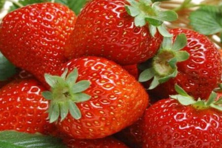 草莓的功效和作用,这五个吃草莓的营养价值和好处