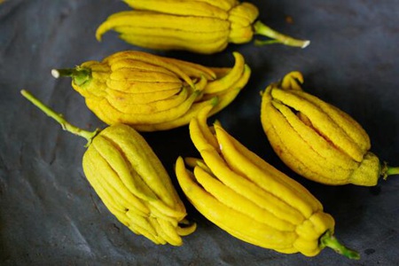 佛手的功效与作用,这五个佛手药用价值美容养颜