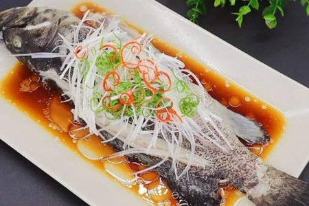 石斑鱼的功效与作用,五个女人吃石斑鱼的营养价值