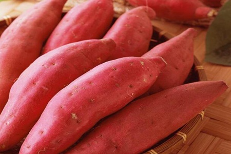 补脾的食物有哪些？这五种食物女人补脾的最佳方法