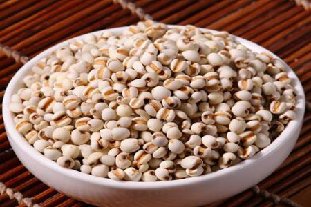 体内湿气重吃什么食物调理?这五个食物能减少湿气困扰