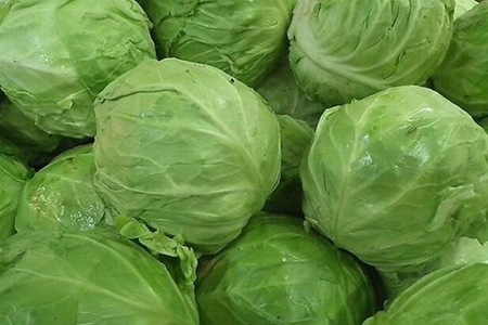 包菜的功效与作用,这五个女人吃包菜的营养价值