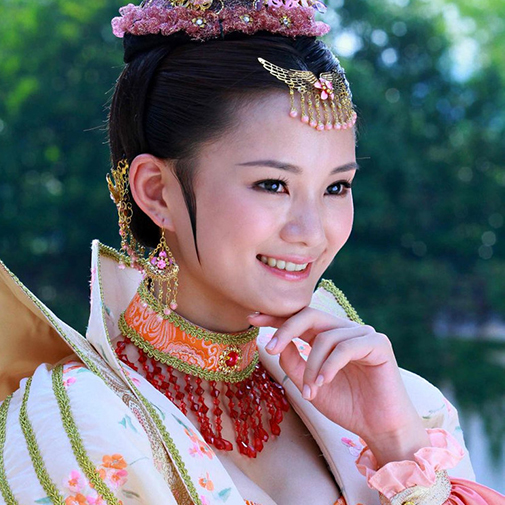 楼安琪演过的电视剧