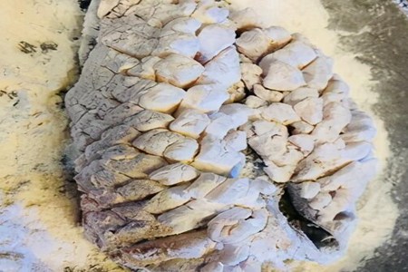 年夜饭松鼠桂鱼怎么炸才好看?家常松鼠鱼的做法大全窍门