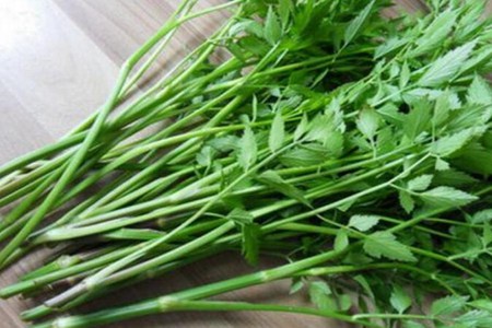 水芹菜的功效与作用,这五个女人吃水芹菜的营养与功效