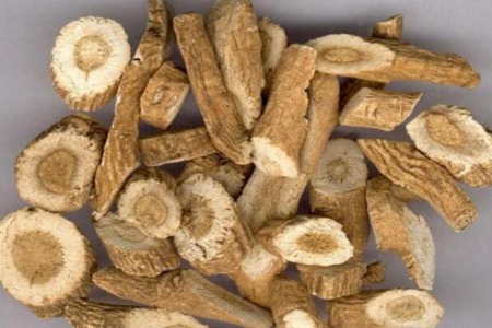 板蓝根的功效与作用,这四个喝板蓝根的功效