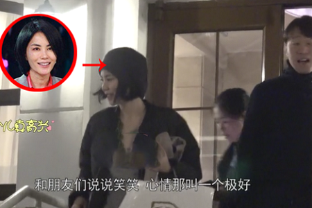 王菲深夜现身前夫李亚鹏住所,网友:男友谢霆锋知道吗?