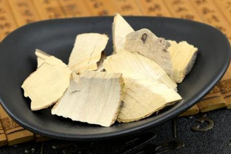 毛冬青的功效与作用,这五个女人喝毛冬青的药用价值