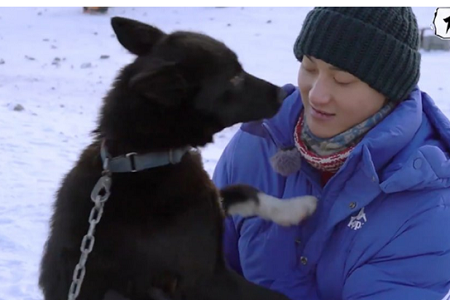 被狗强吻后的黄子韬,受惊体制引人捧腹大笑