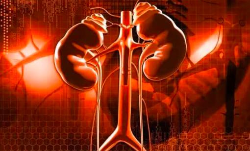 女性得了尿毒症的病症