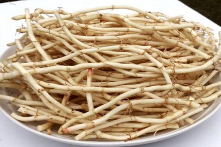 女人吃鱼腥草对身体有什么好处?这四个女人吃鱼腥草的好处